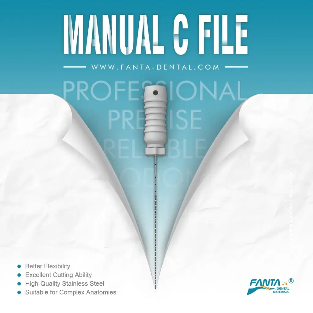 [H17 2602 025 008] C-FLEX FILE, #8, 25mm, 6pcs/box
