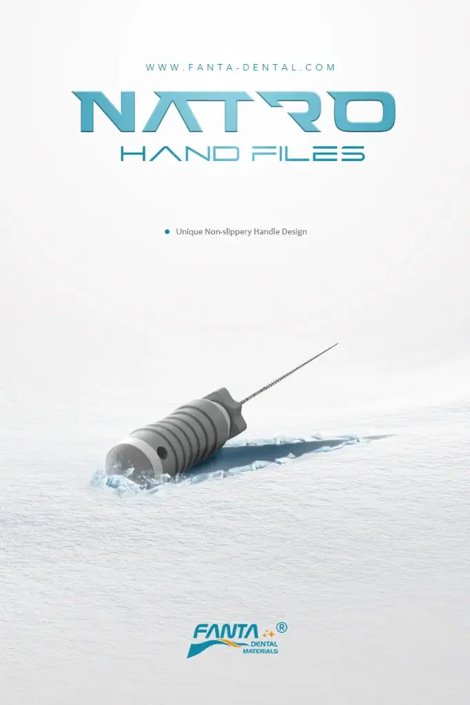 [H15 2602 025 070]  Fanta Stainless Steel File, H File, 25mm, #70，6pcs/box